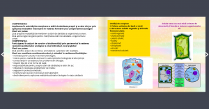 recapitulare la biologie pentru clasa a vi-a